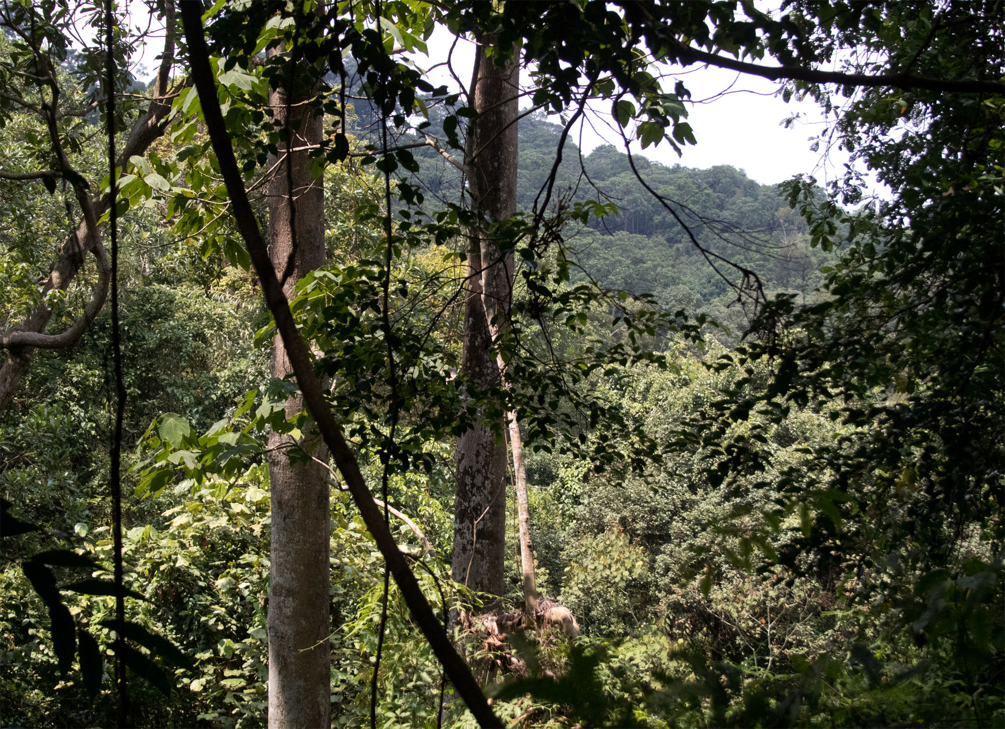 Bukit Timah Mar 2017