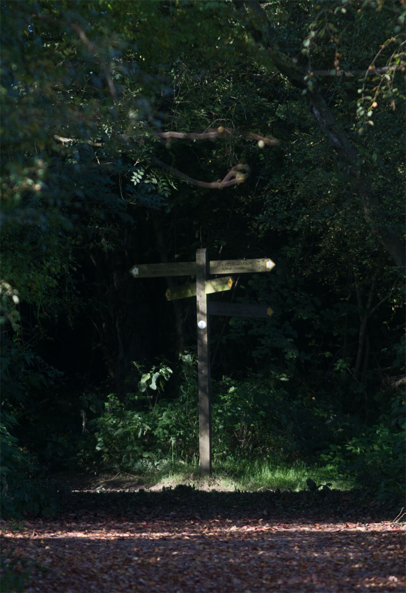 Fiveways sign 24 Sept 2017