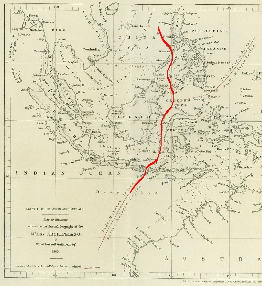 Across the Wallace&nbsp;Line