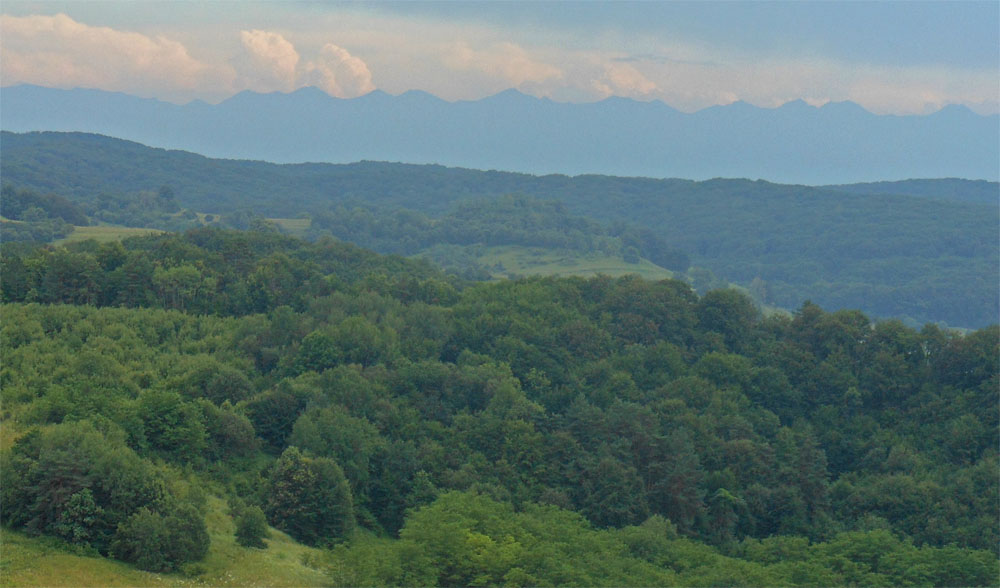 Carpathians from NS