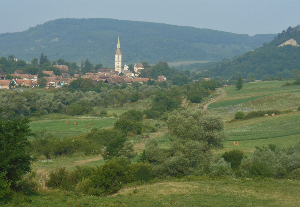 Daia from East Transect