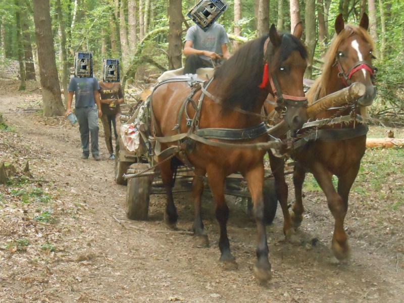 Apold: Police! Camera!&nbsp;Action!