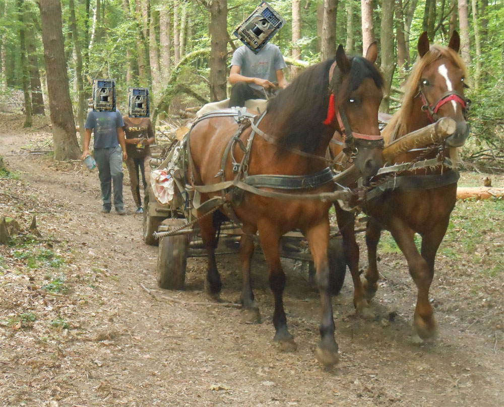 Apold: Police! Camera!&nbsp;Action!