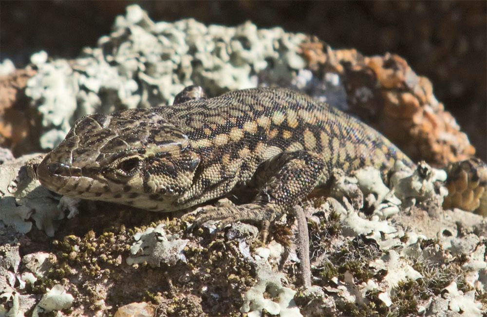 Spain: Pieces of the&nbsp;Puzzle