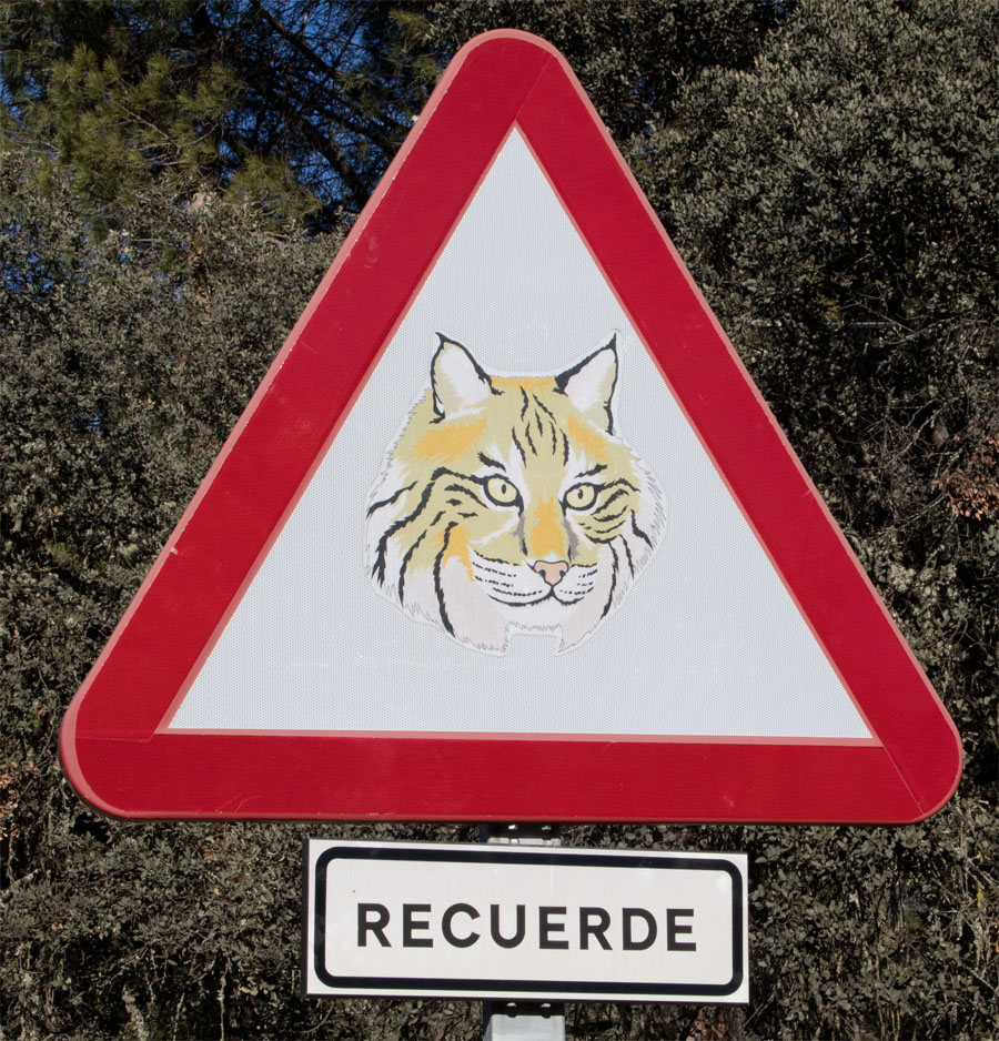 Pardal lynx sign