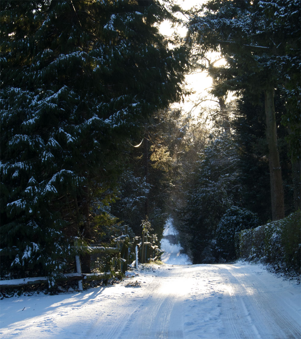 Snowy lane 27 Feb 2018