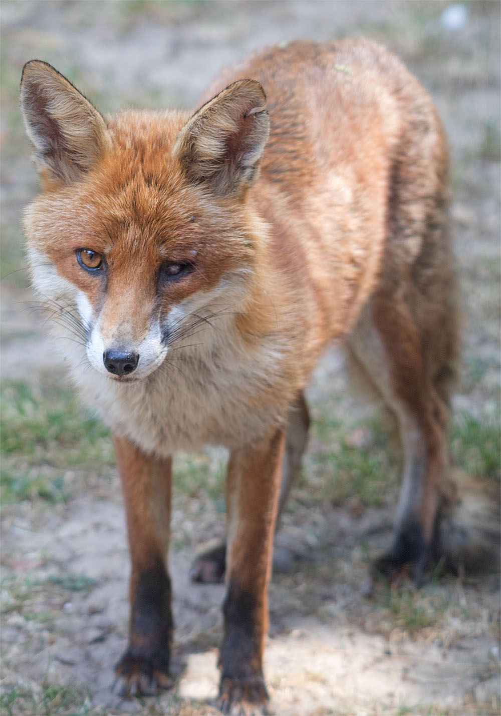 One Eye3 14 Jul 2018