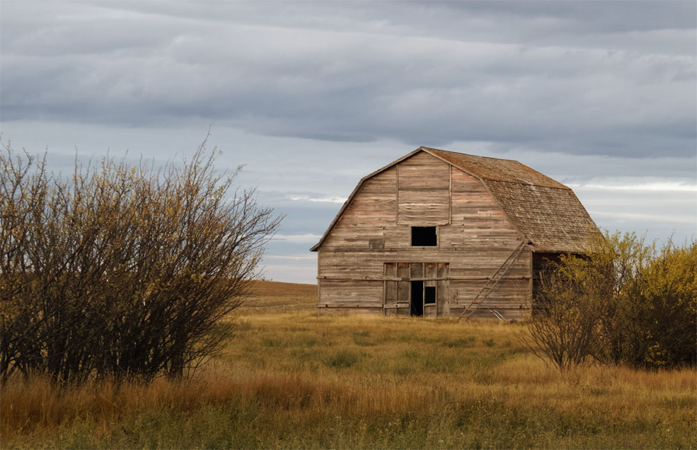 Old barn Sask Sept 18