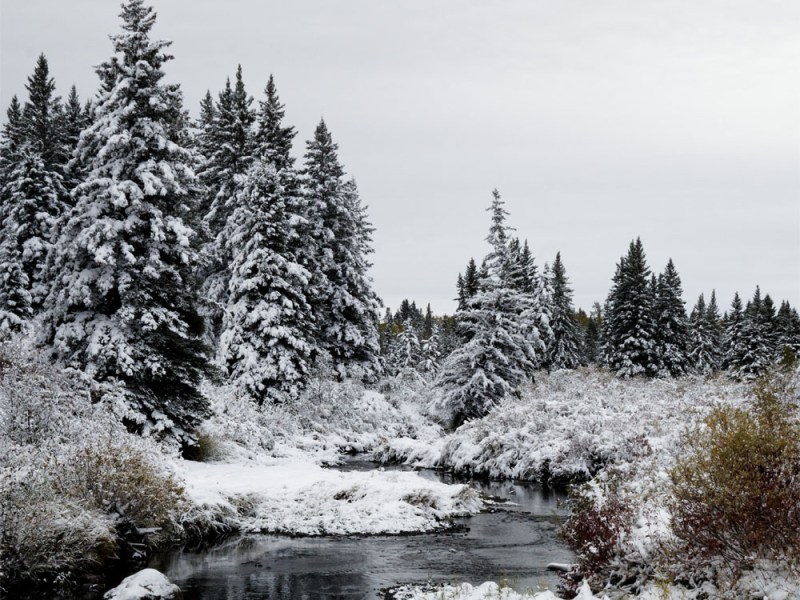 Christmas in September