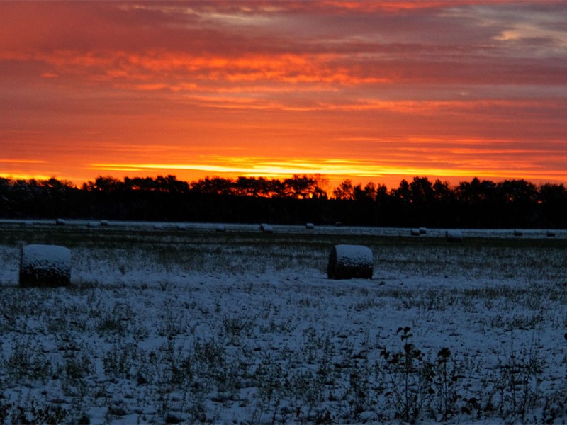 Directions to Winter