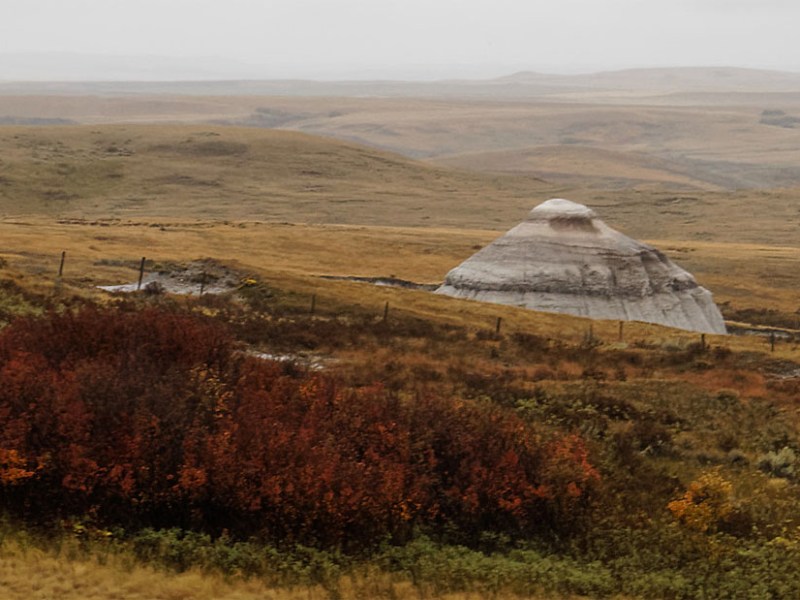 Whispers in the&nbsp;Grass