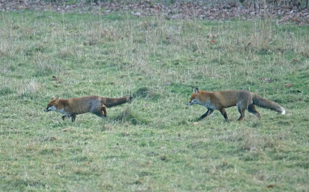 That Time of&nbsp;Year