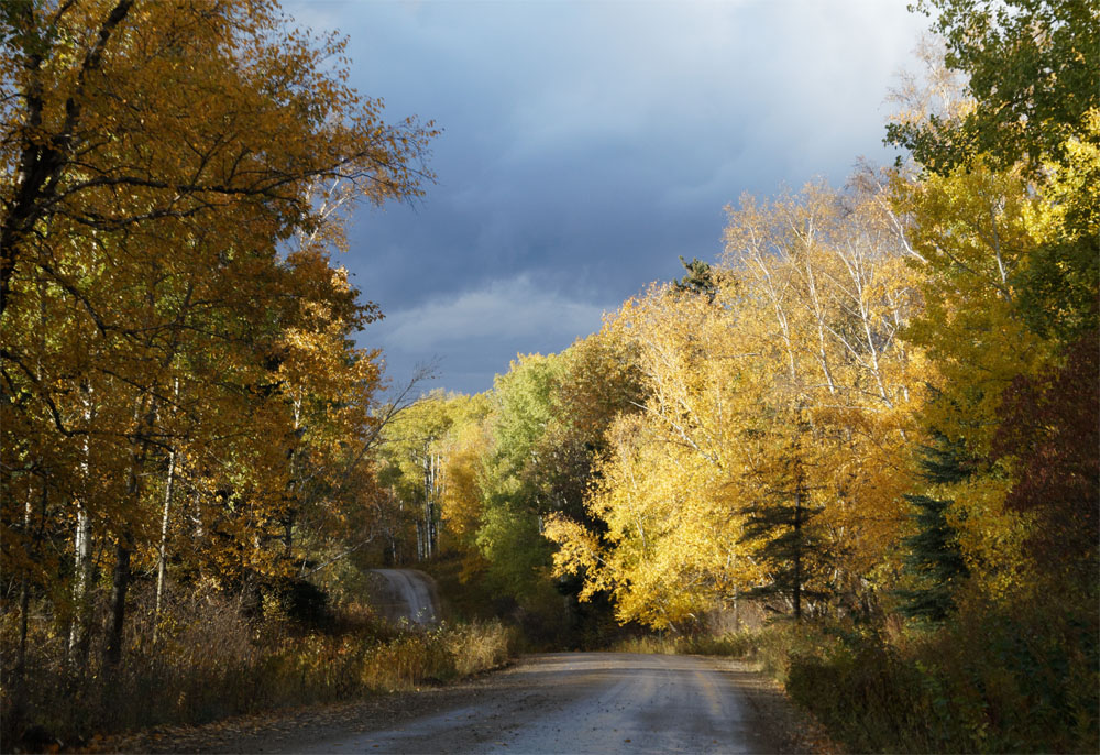 Turns in the&nbsp;Path