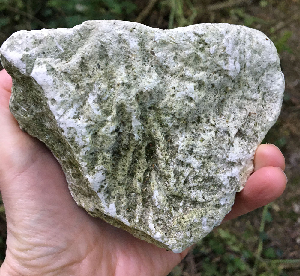 Badger scratches on chalk 14 Jun 20