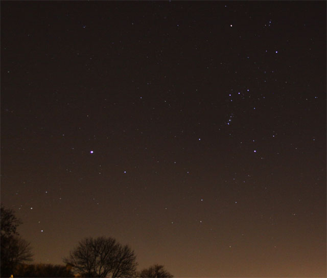 Orion and Canis Major march 2011