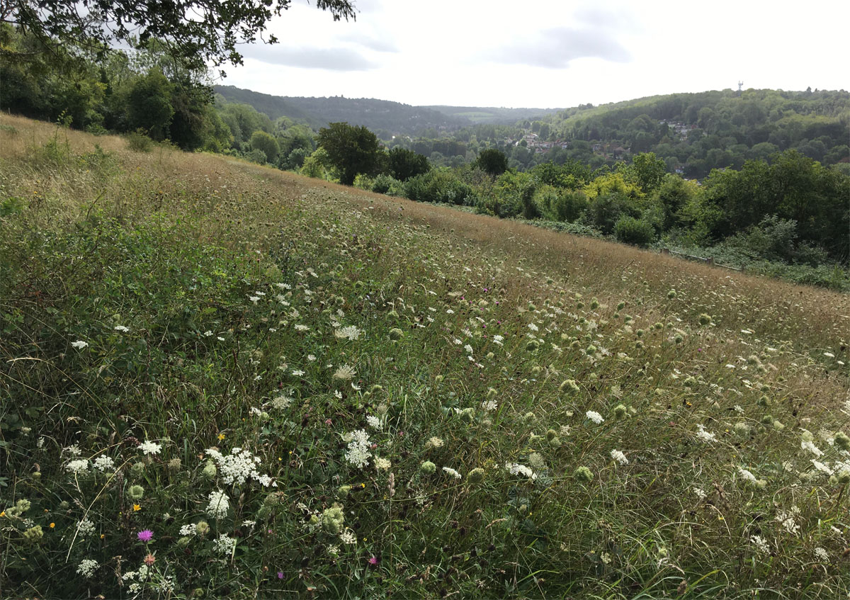 Riddlesdown 20 Aug 20