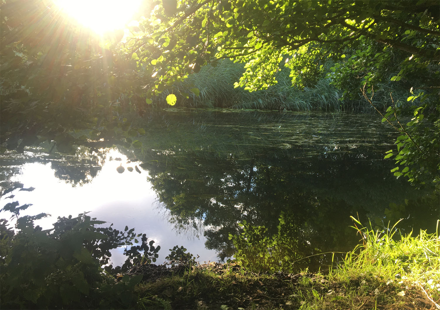 Reflections2 8 Aug 21