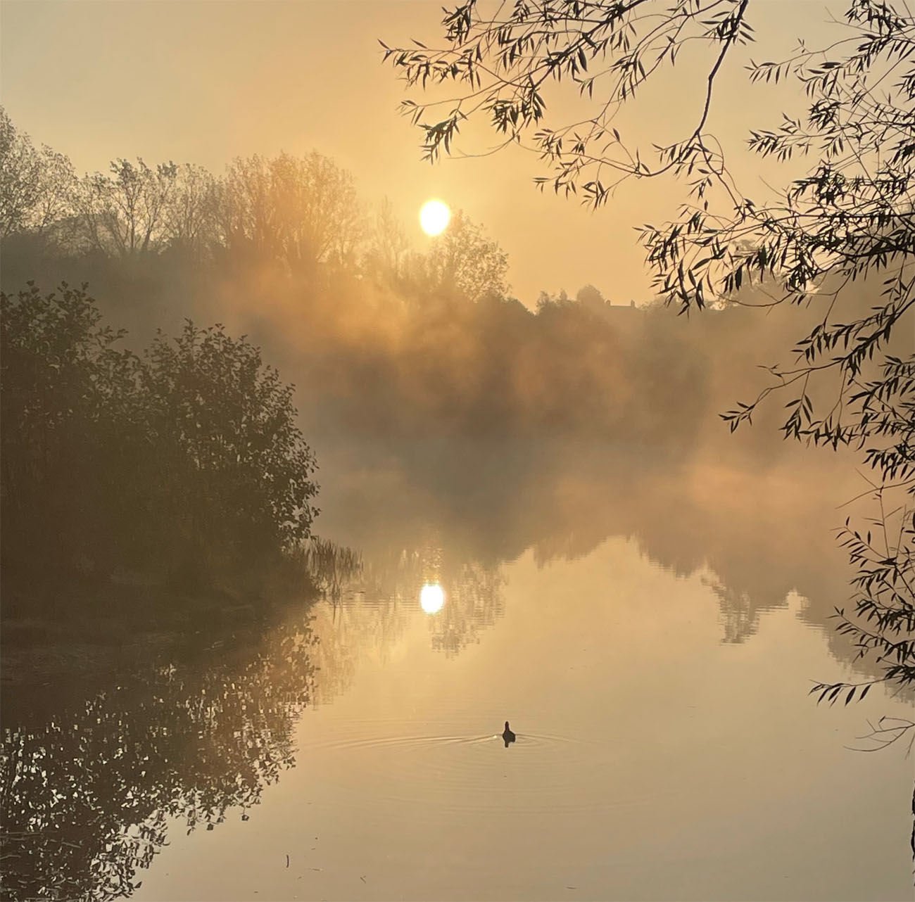 Misty morning1 3 Nov 21