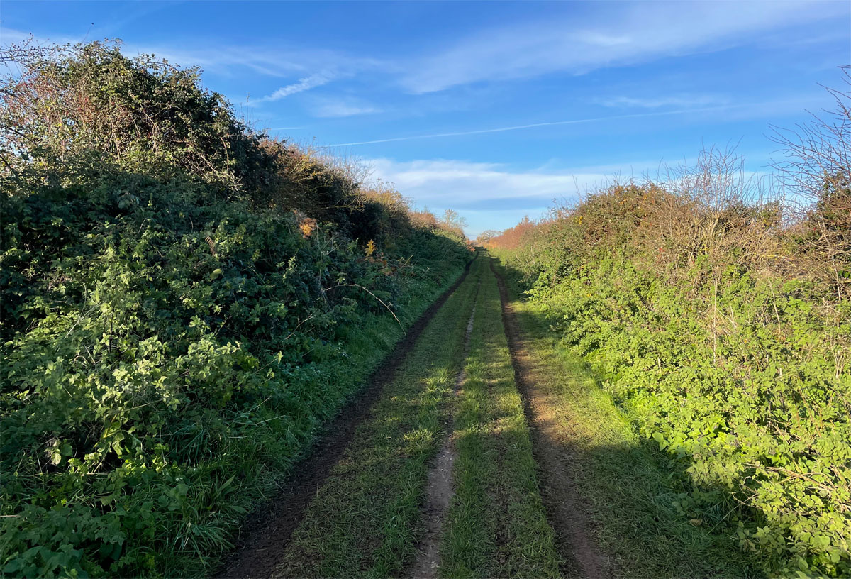 Peddars Way 3rd stage4