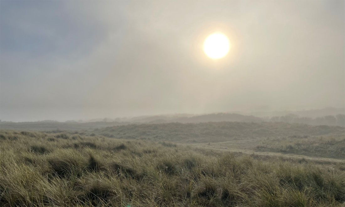 Misty dunes