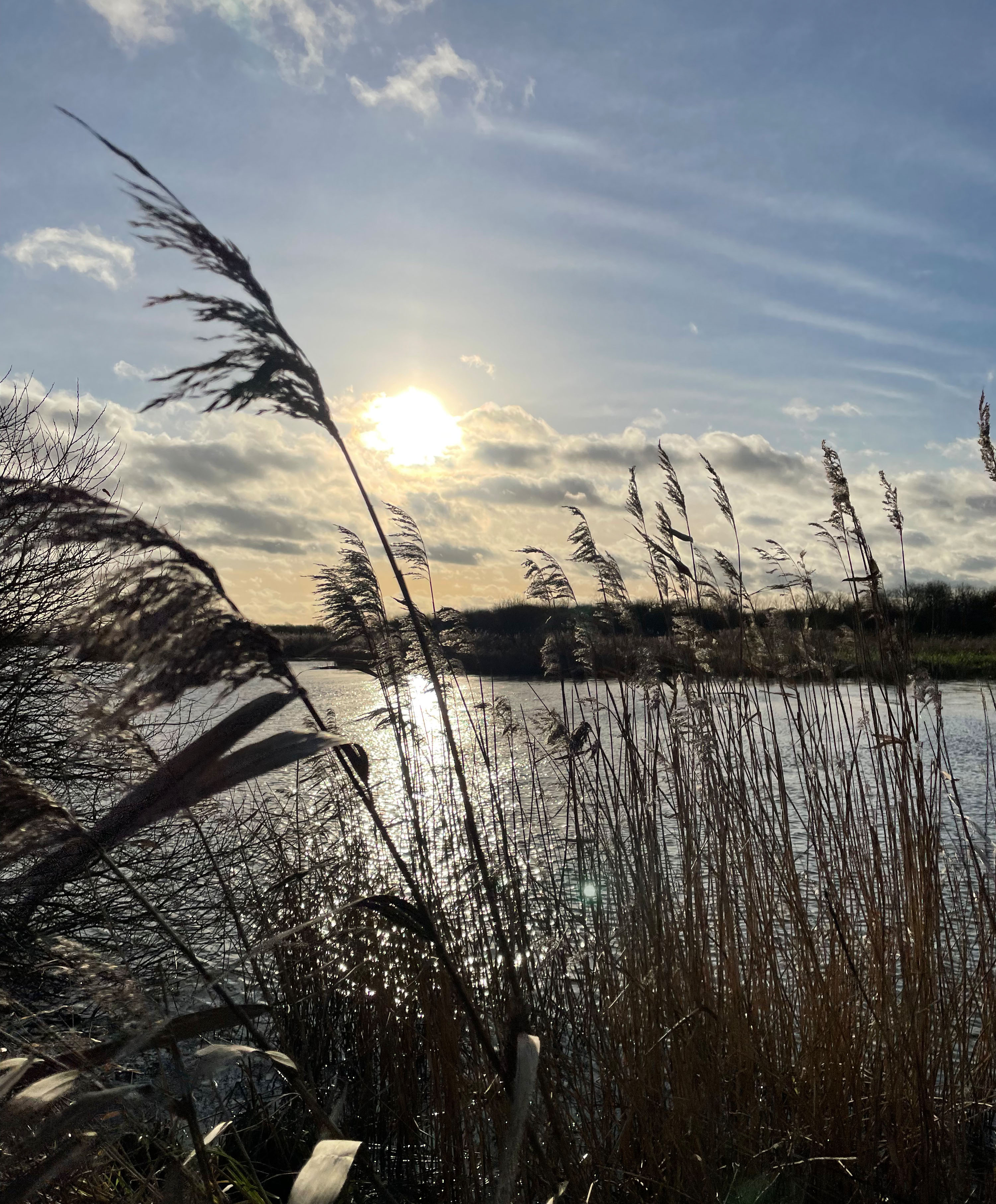 Afternoon sun 31 Dec 21