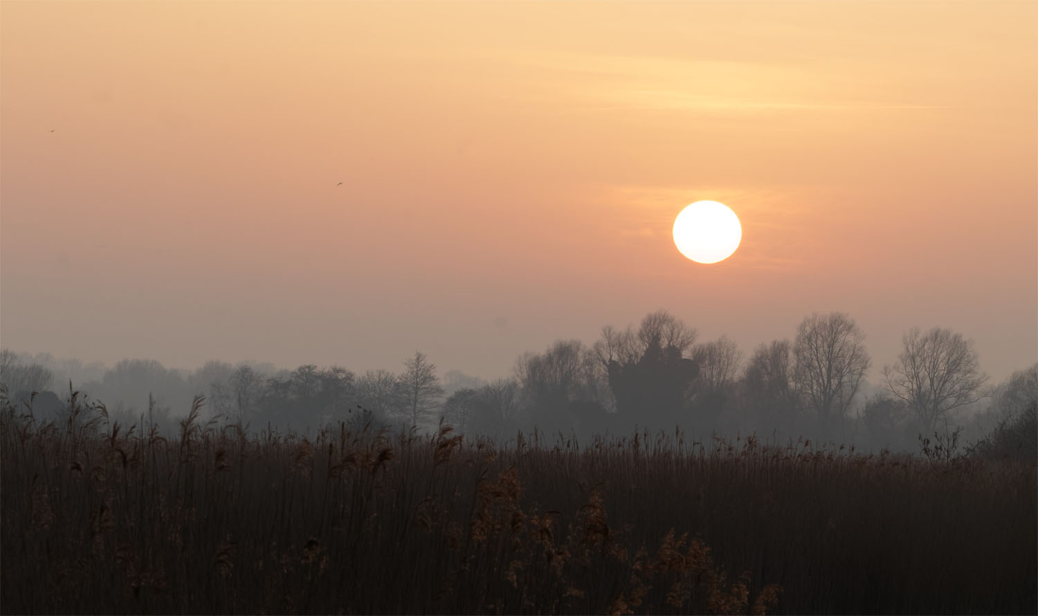 Broads dusk1 22 Mar 22