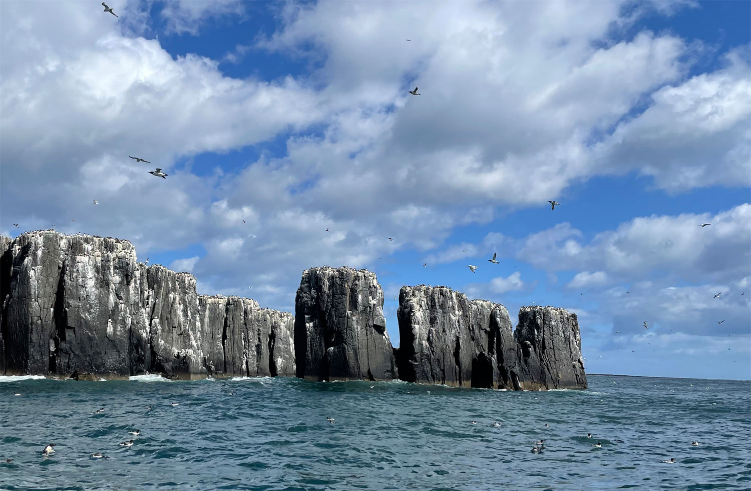 Farne Islands