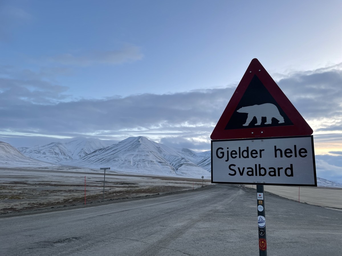 Svalbard: The King’s&nbsp;Neighbours