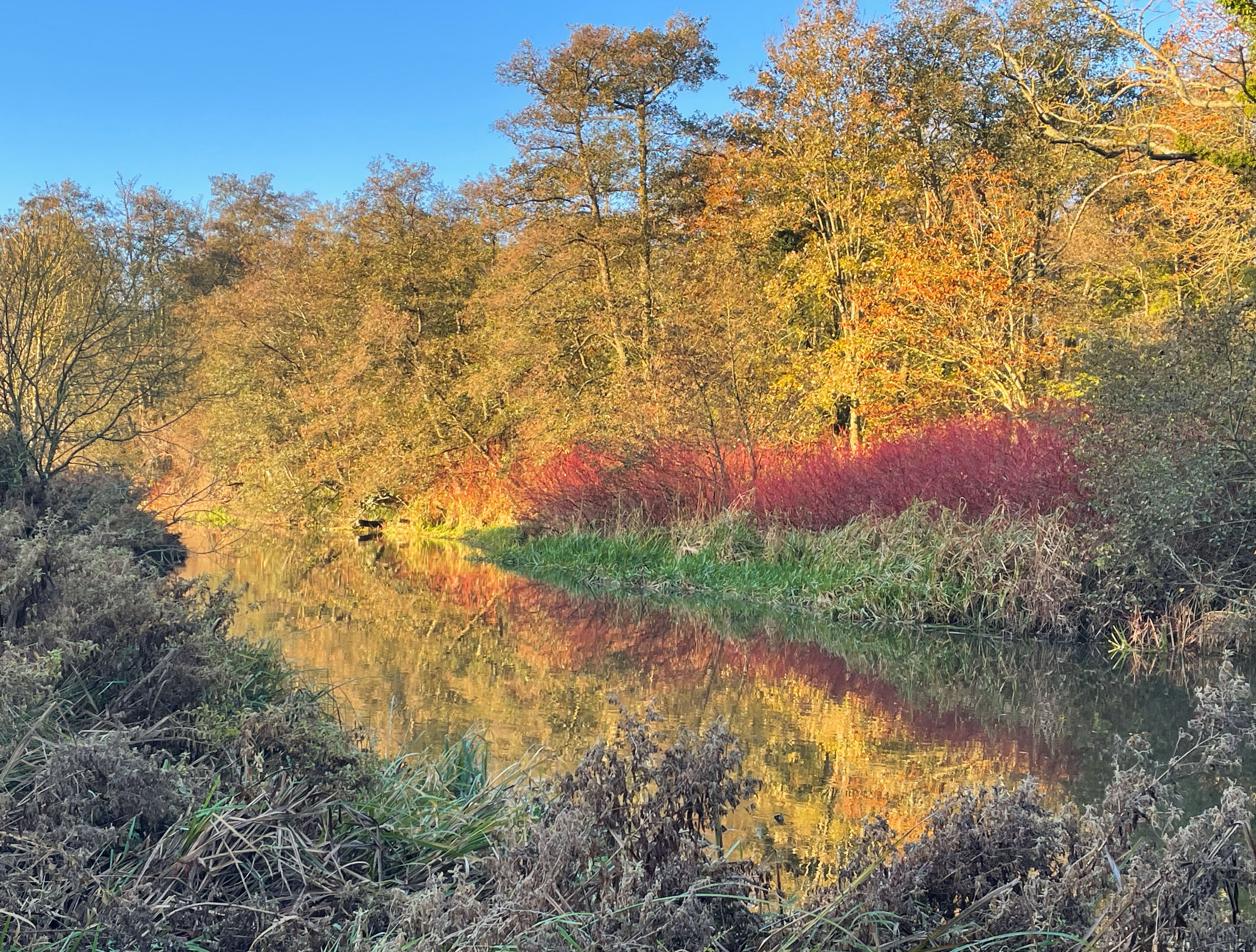 Colourful river
